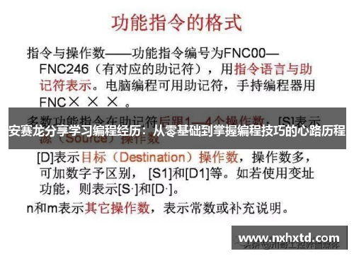 安赛龙分享学习编程经历：从零基础到掌握编程技巧的心路历程