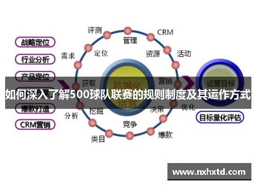 如何深入了解500球队联赛的规则制度及其运作方式
